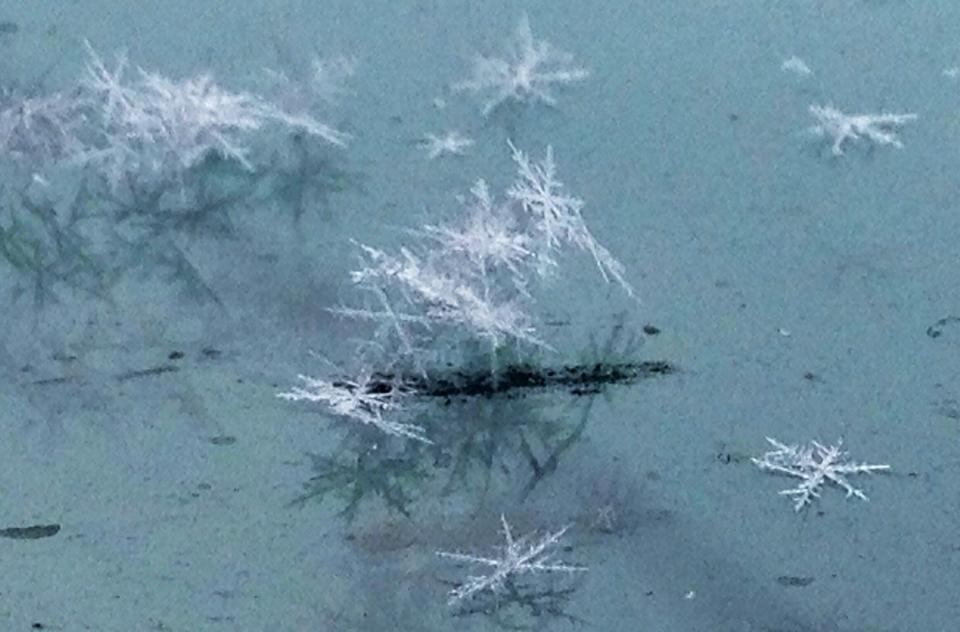 snowf.jpg