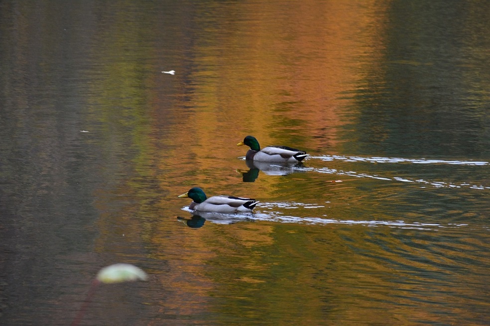 ����������