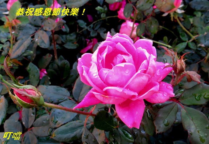 IMG_0001_6065.jpg