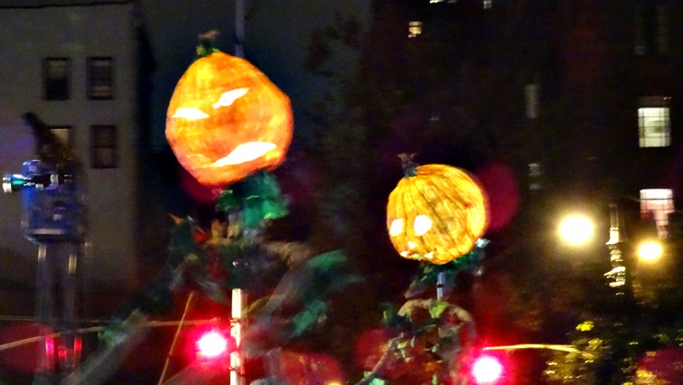 DSC02040.jpg