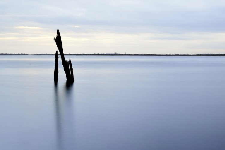_DSC7484_01.JPG