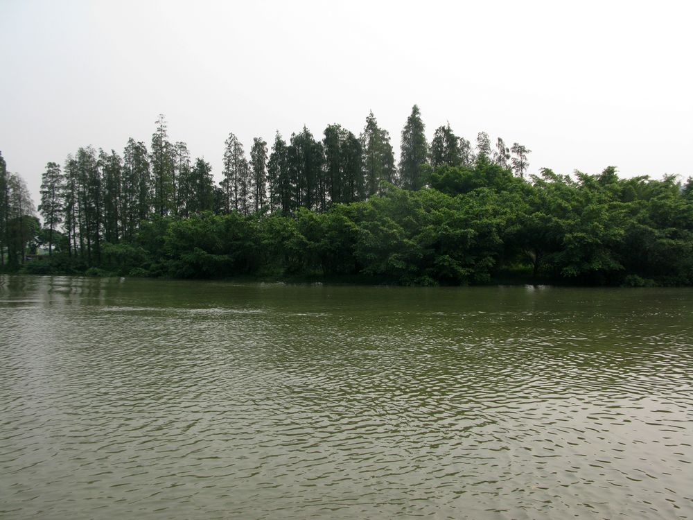 IMG_4295.jpg