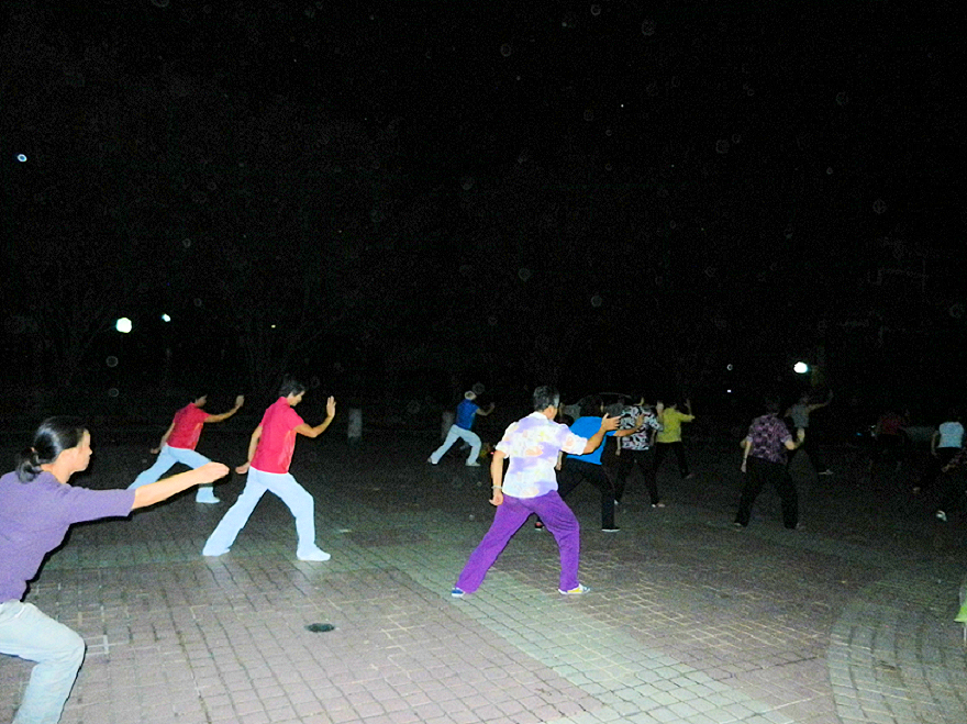 06DSCN4224.png