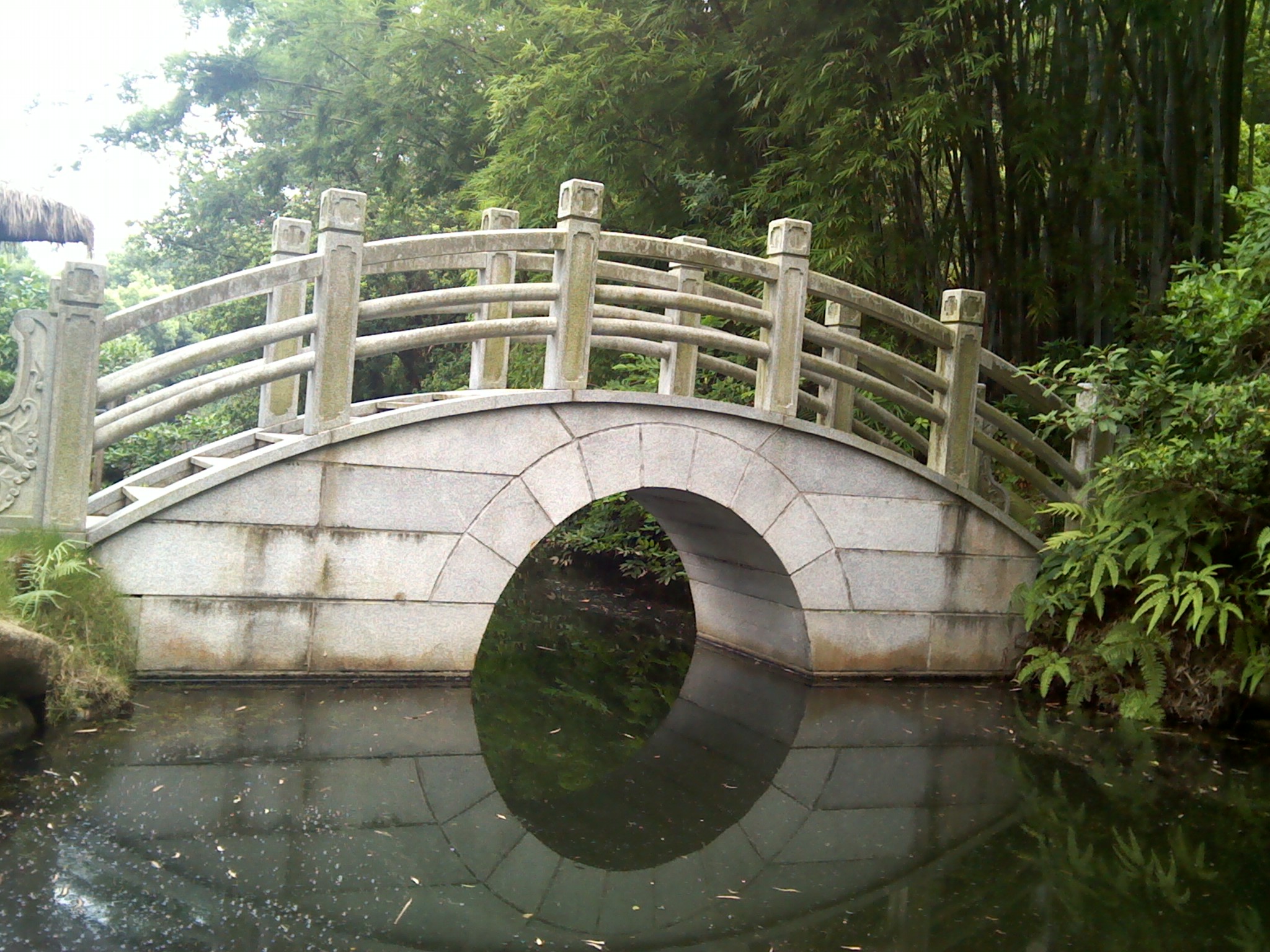 IMG_20130712_144249.jpg