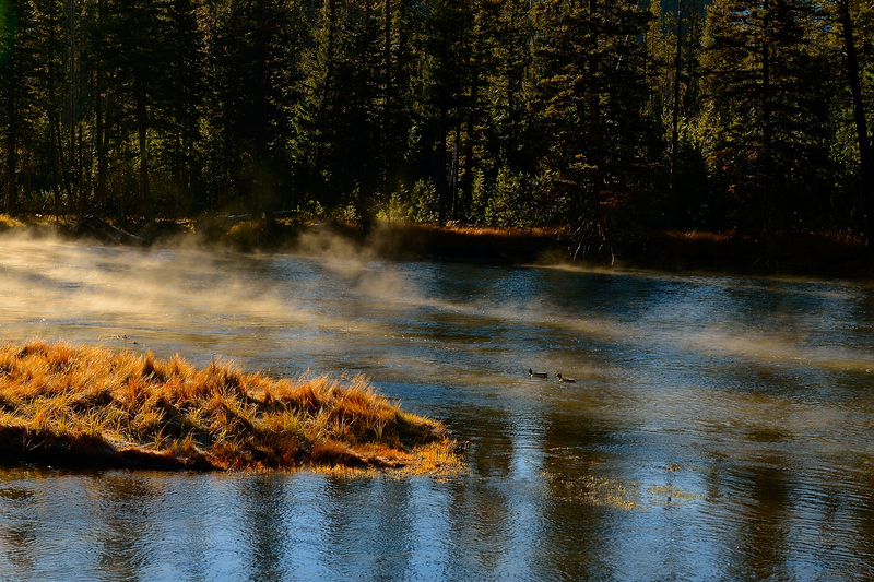 YellowStoneTrip102420130661.jpg