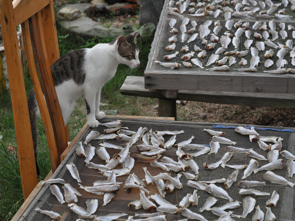 DSC_8940.JPG