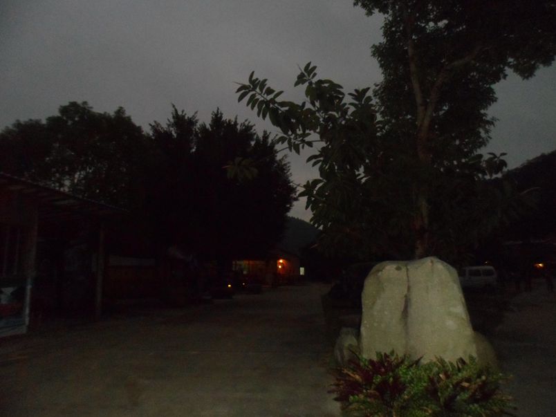SAM_7016_.jpg
