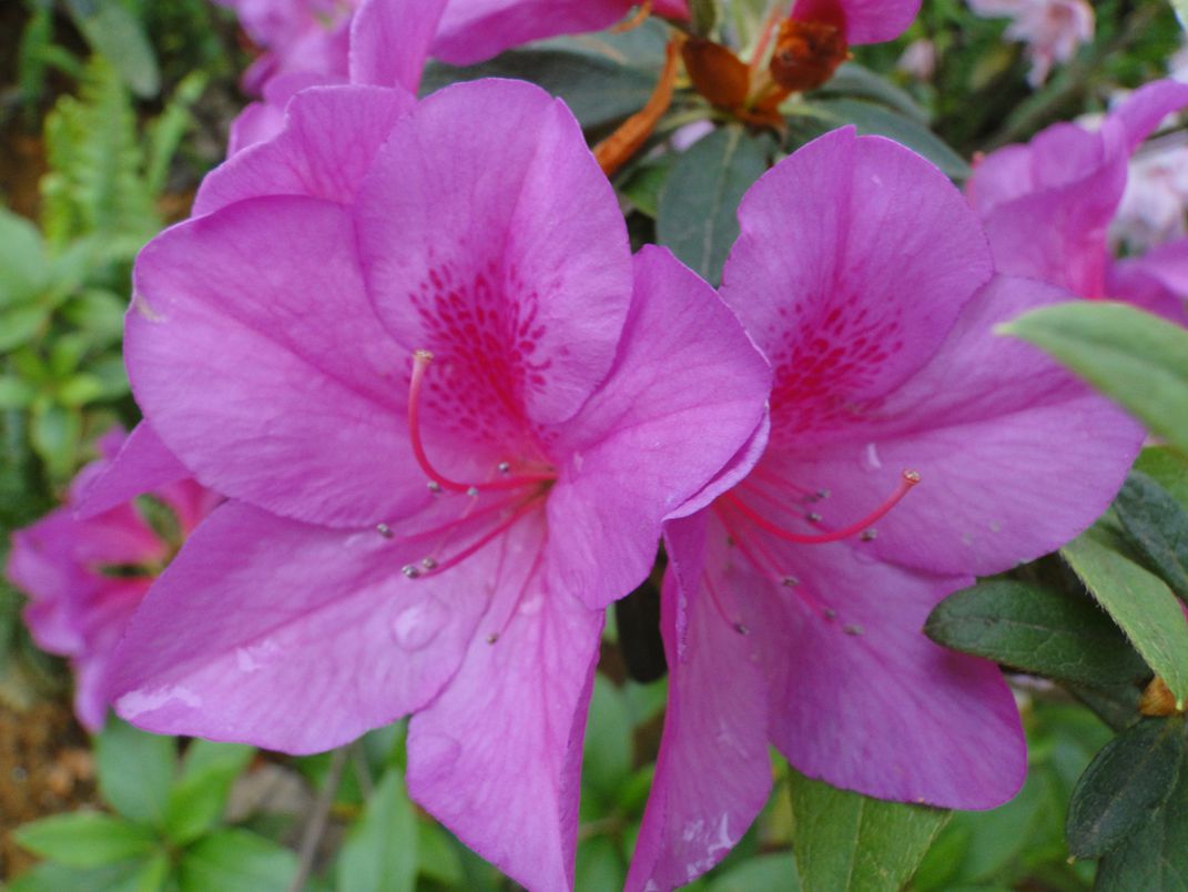 DSC00324_.jpg