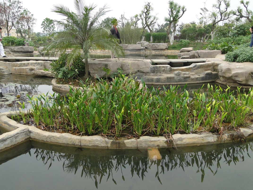 DSC00313_.jpg
