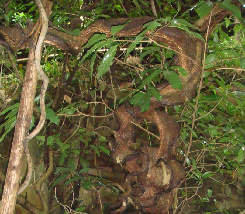 DSC07677_.jpg