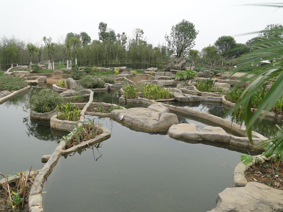 DSC00312_.jpg