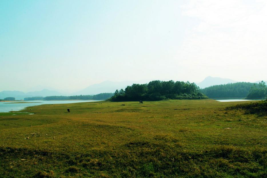 _MG_18942013-10-20.JPG