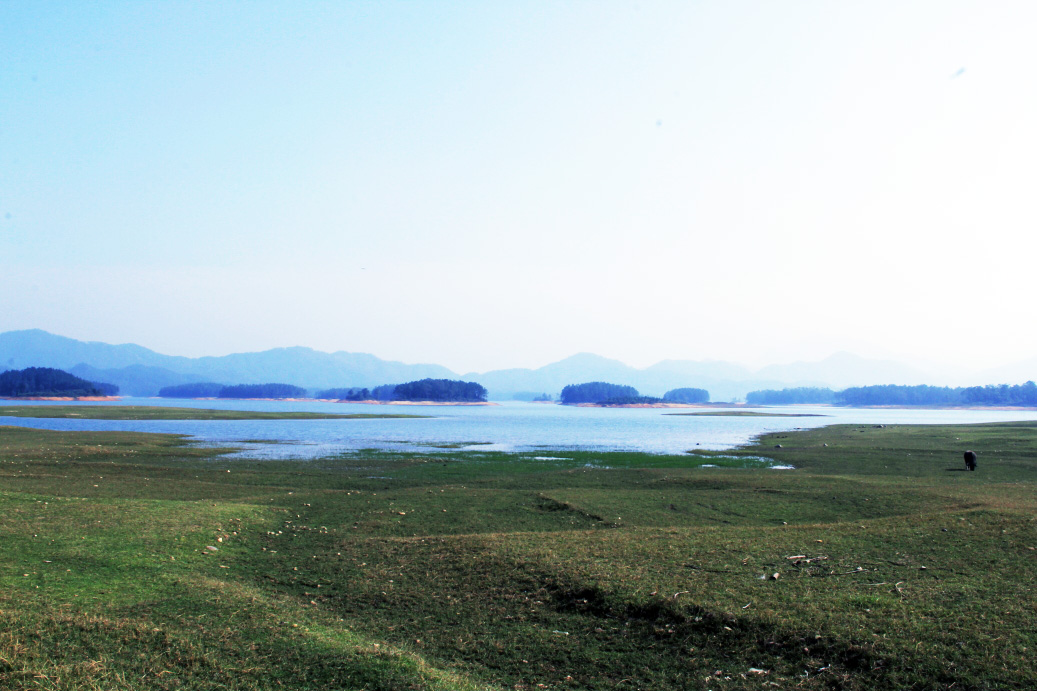 _MG_18982013-10-20.JPG