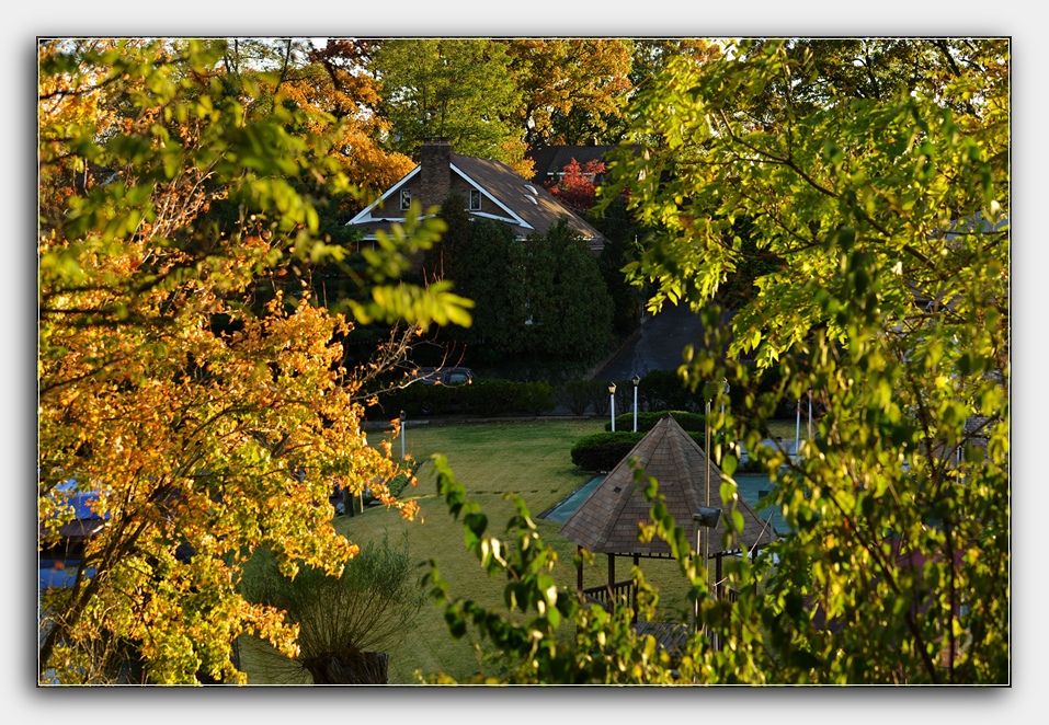 DSC_4361.jpg