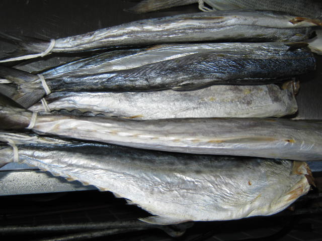 2014 268.JPG