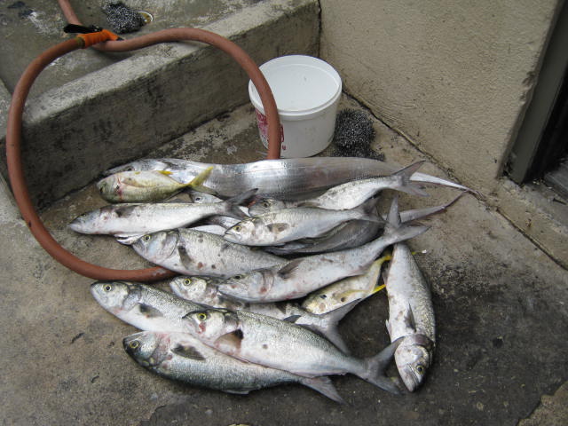 2014 141.JPG