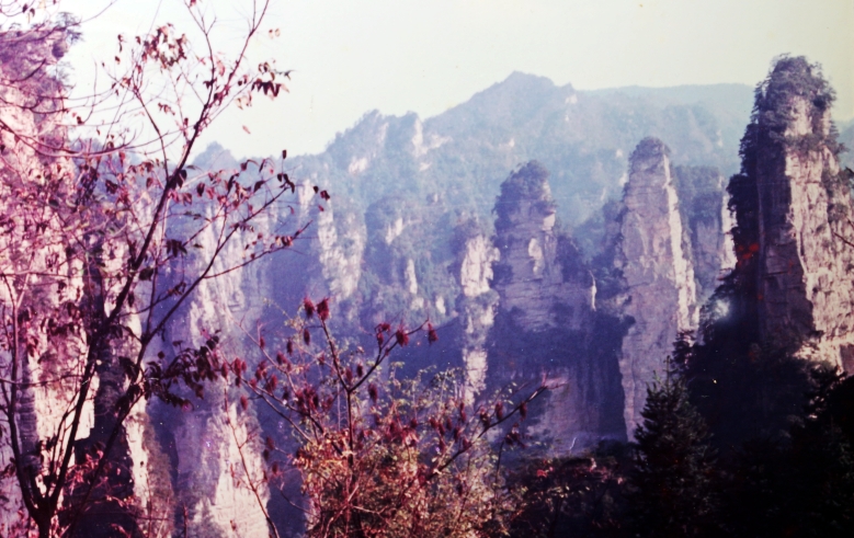 20131105 009_conew1.jpg