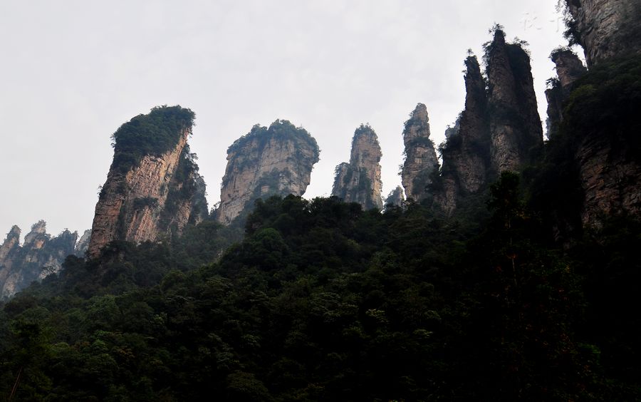 DSC_0718.jpg