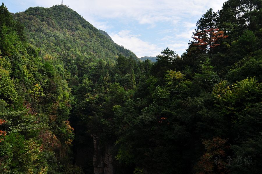 DSC_0802.jpg