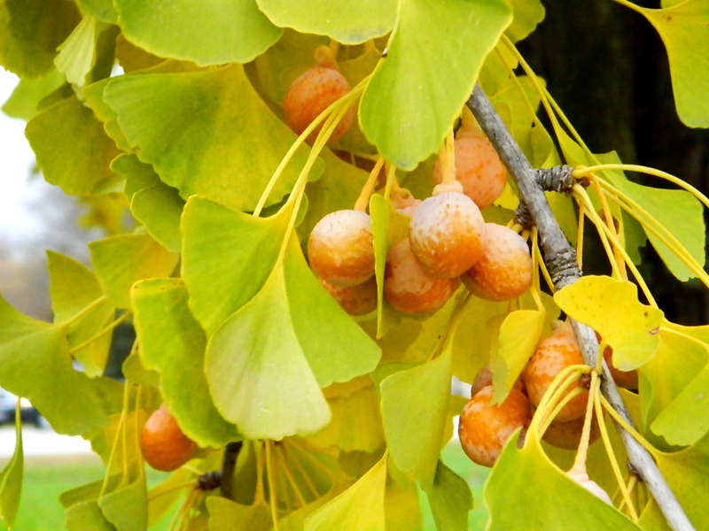 DSCN4053.JPG