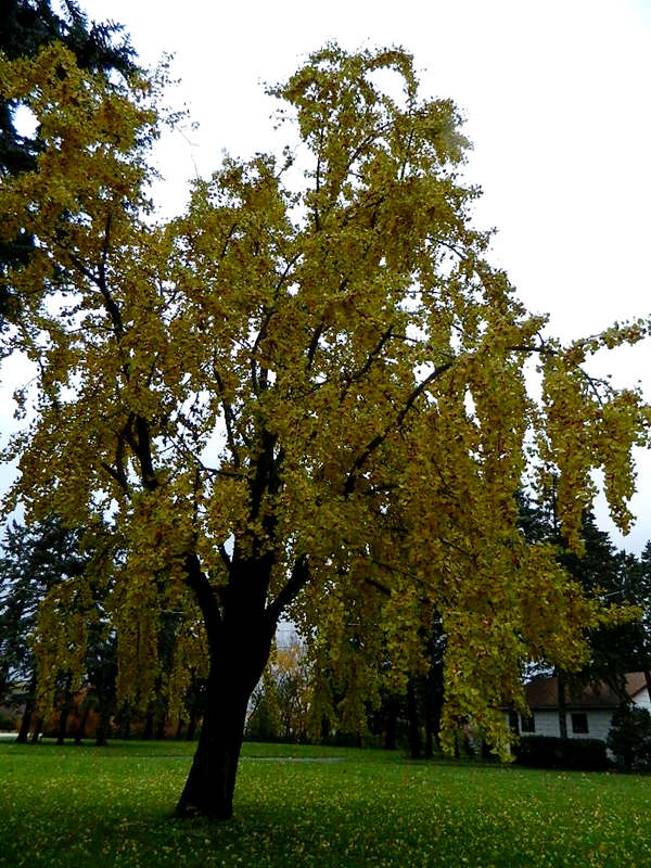 DSCN4051.JPG