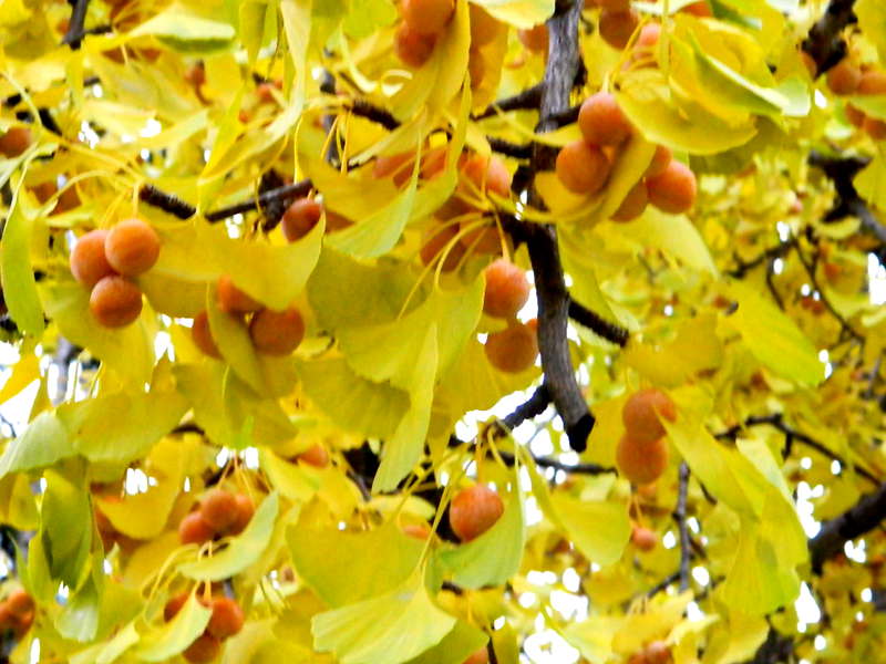 DSCN4054.JPG