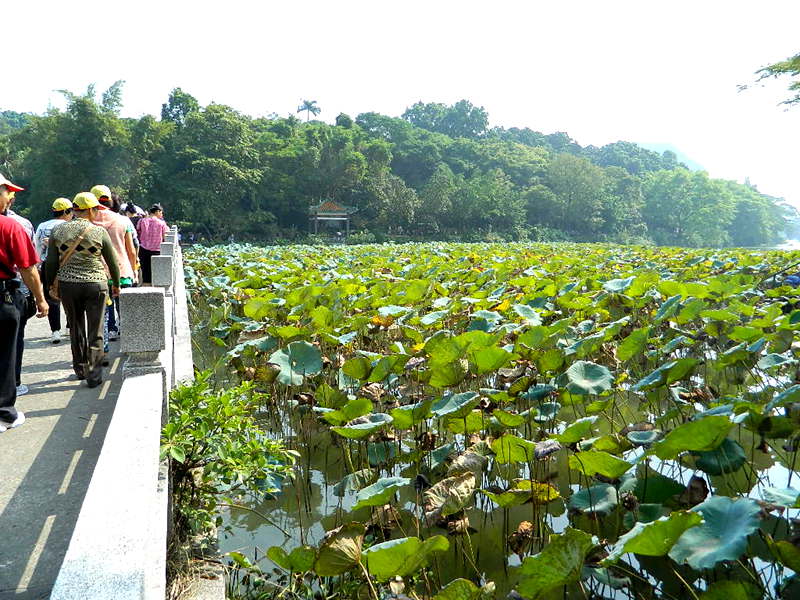 DSCN3978.JPG