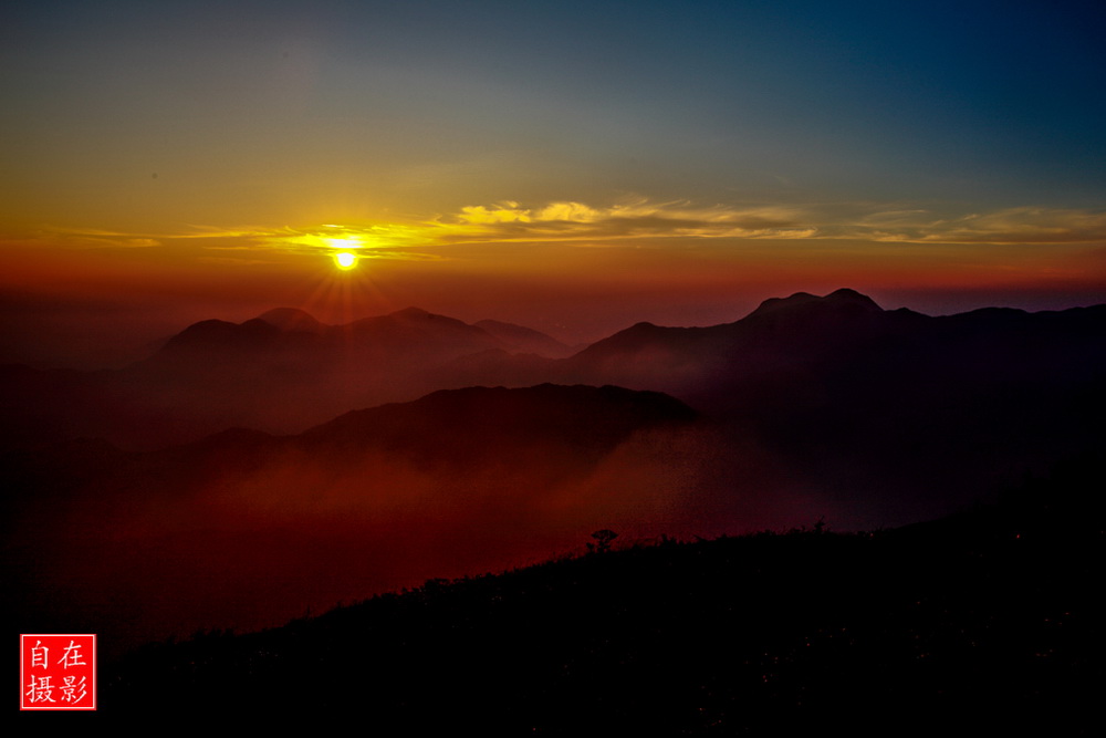_MG_9838.jpg
