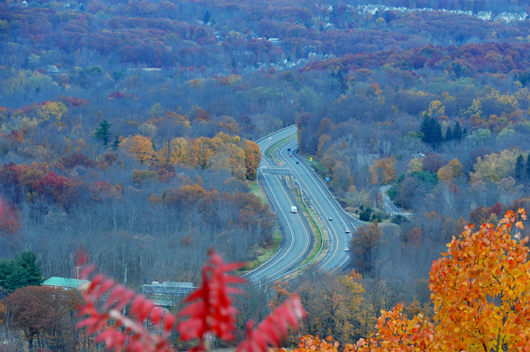 DSC_9120.jpg