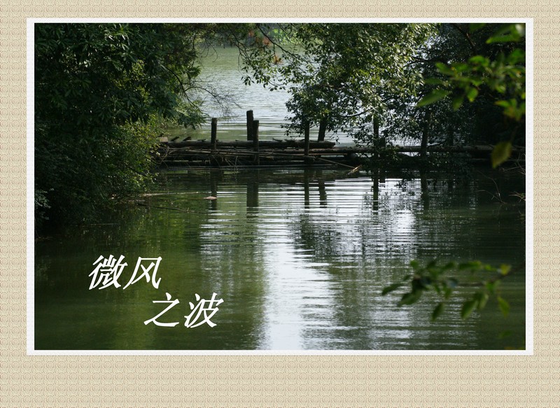 DSC03586.jpg