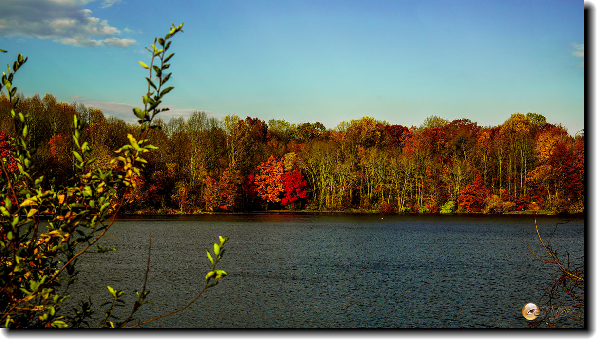 DSC09184_.jpg