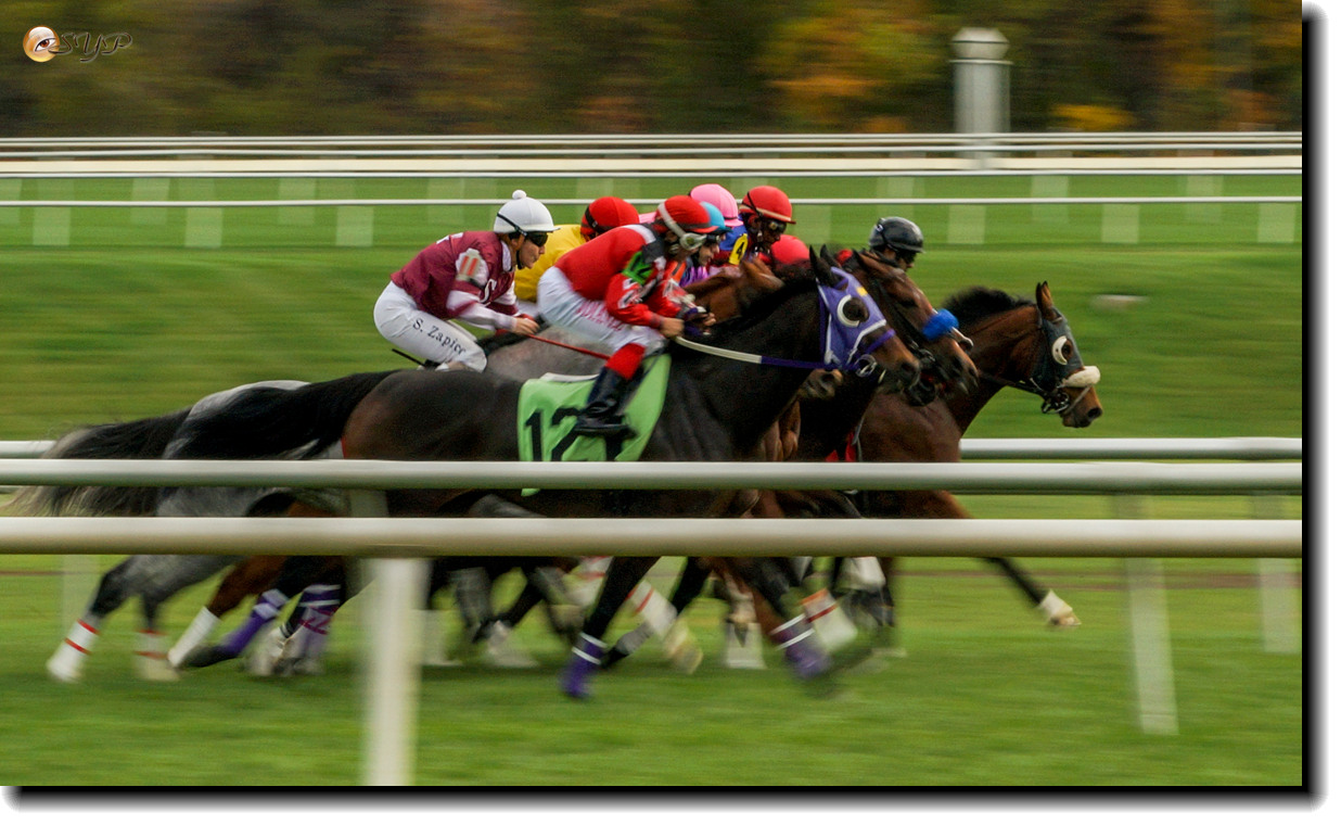 DSC09033a_.jpg