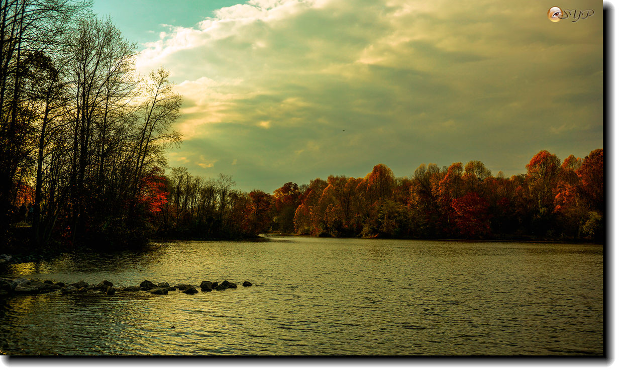 DSC09176_.jpg