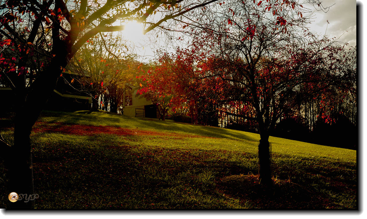 DSC09185_.jpg