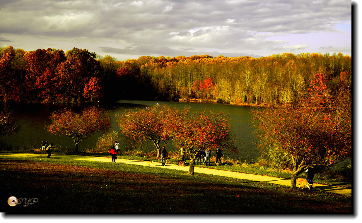 DSC09189_.jpg