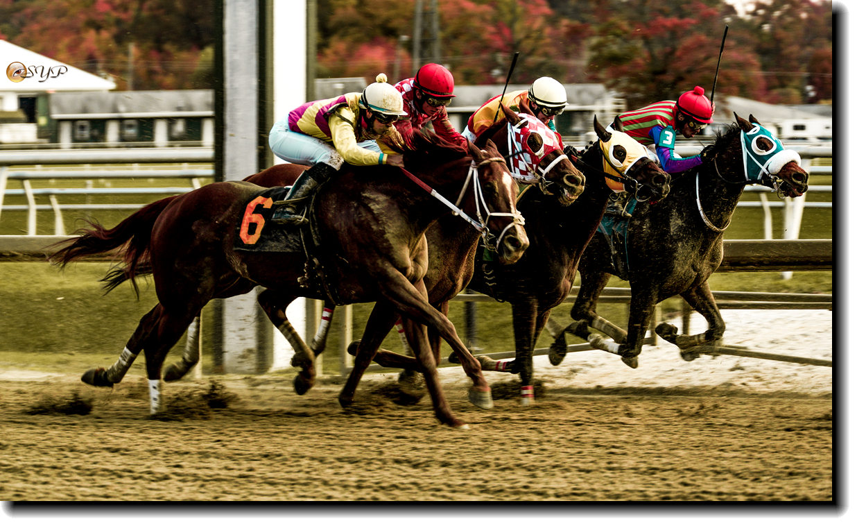 DSC08994a_.jpg