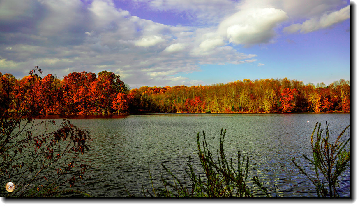 DSC09182_.jpg