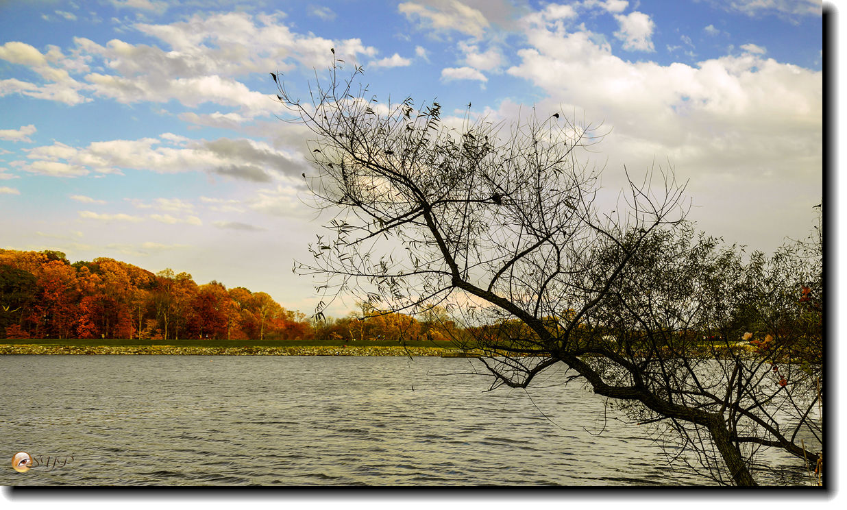 DSC09199_.jpg