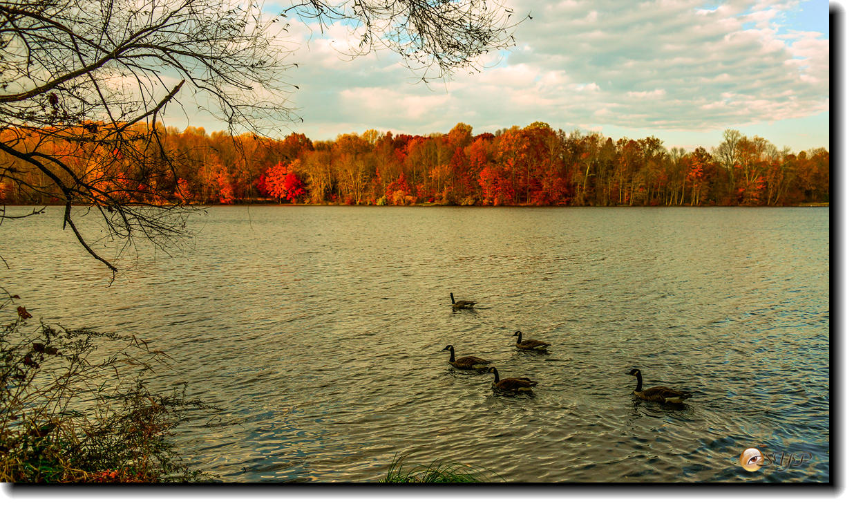 DSC09196_.jpg