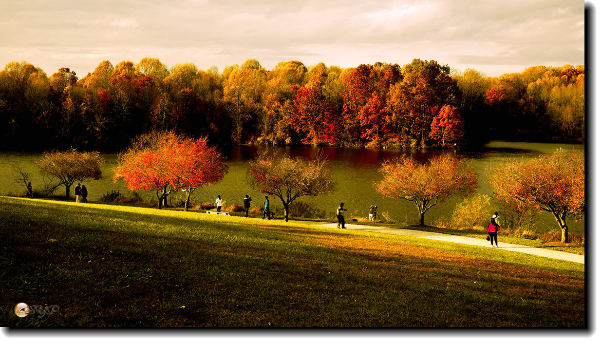 DSC09188_.jpg