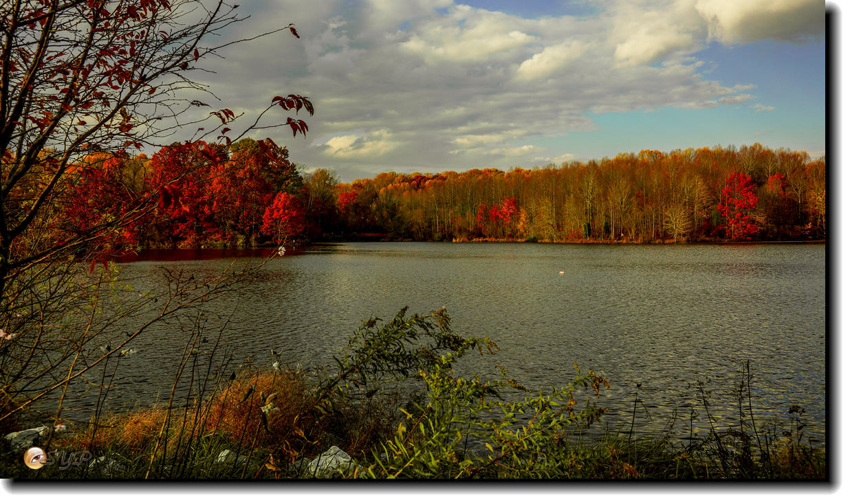 DSC09183_.jpg