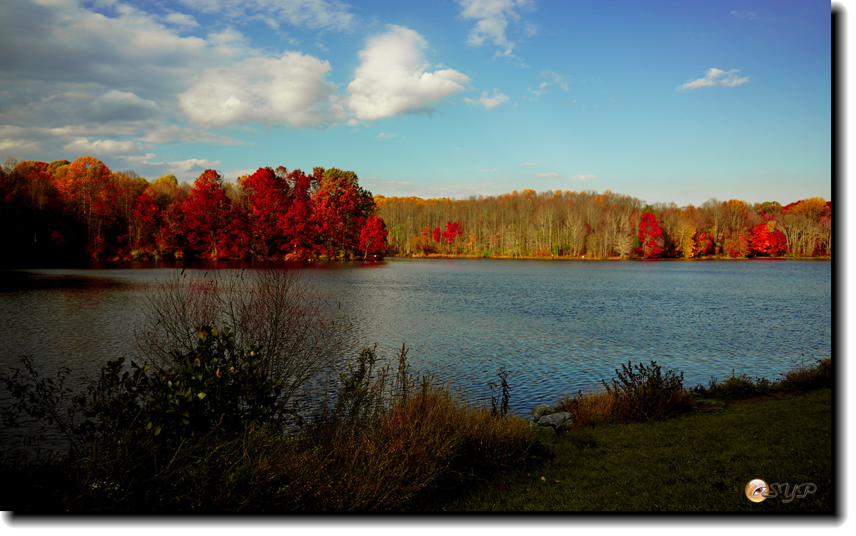 DSC09178_.jpg
