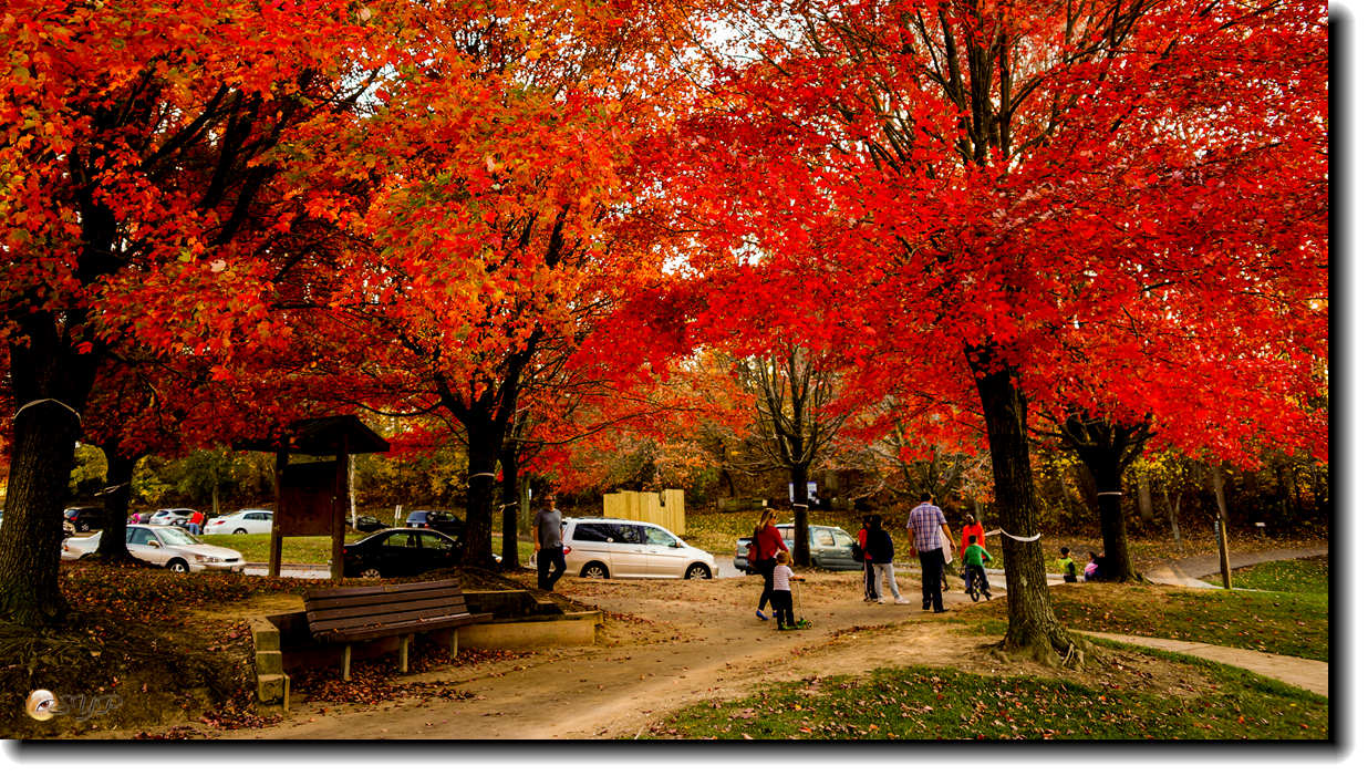 DSC09172_.jpg