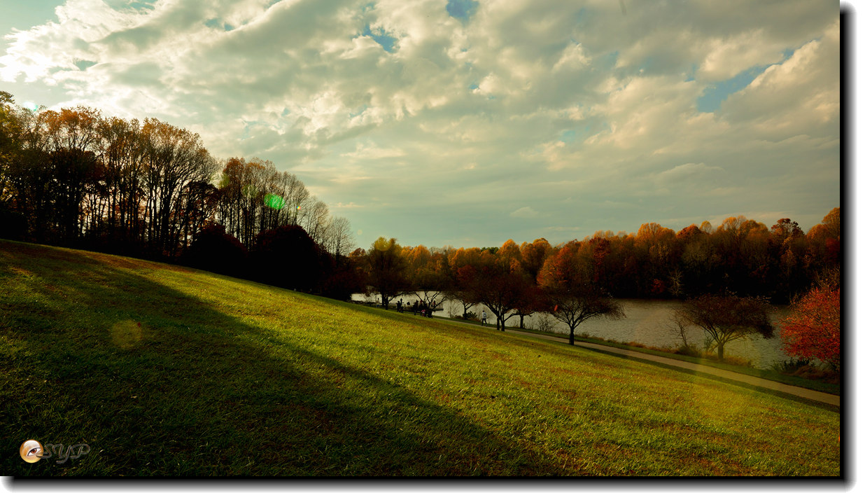 DSC09194_.jpg
