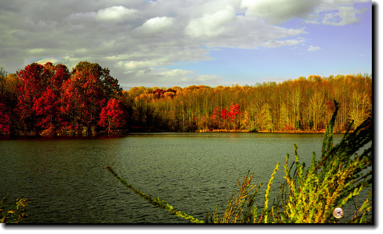 DSC09180_.jpg