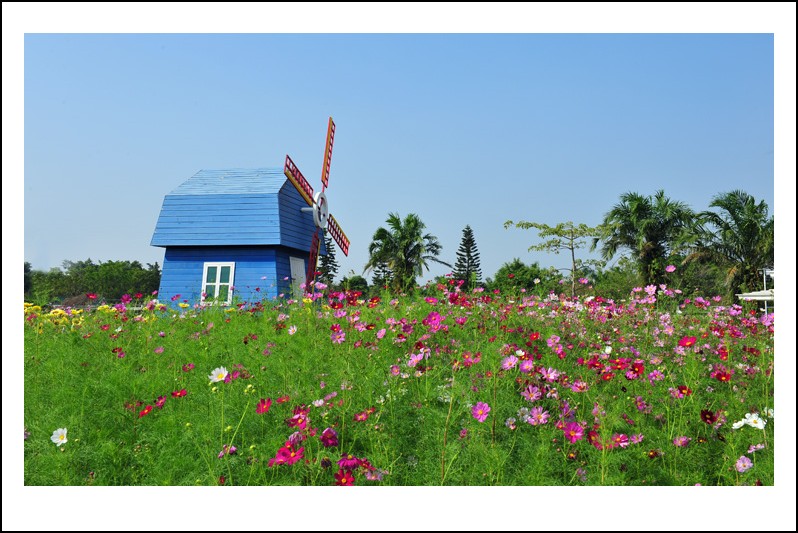 DSC_1470 - ����_conew1.jpg