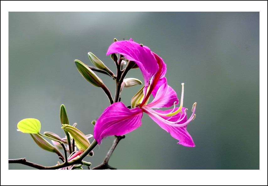 DSC_0703_conew1.jpg