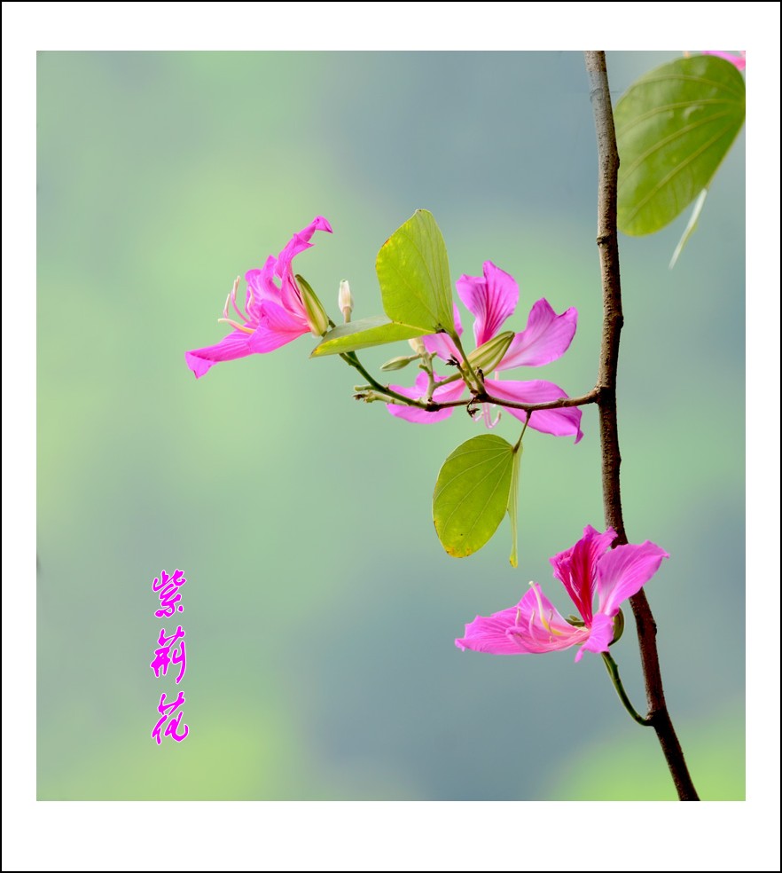 DSC_0587_conew1.jpg