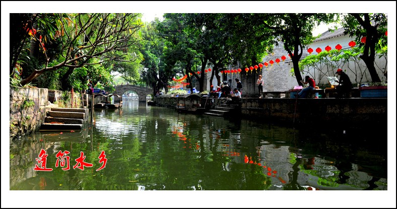 DSC_2700_conew1.jpg