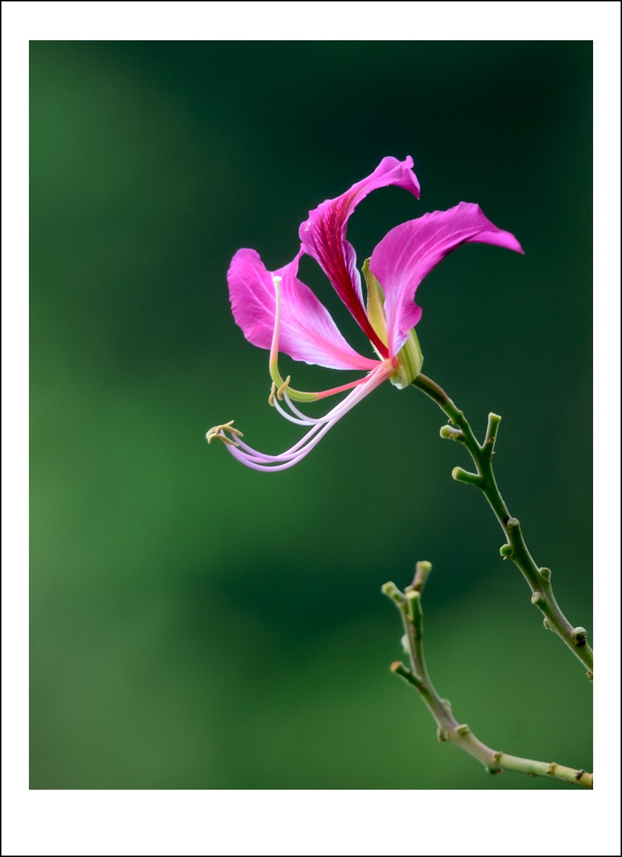 DSC_0728_conew1.jpg
